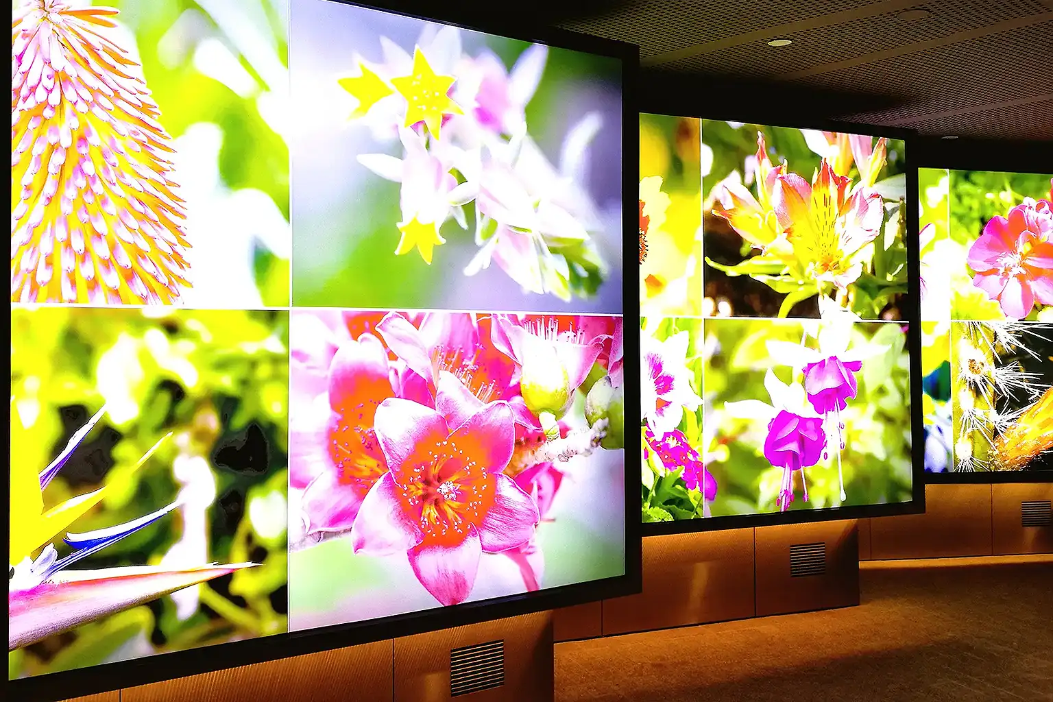 videowalls en eventos